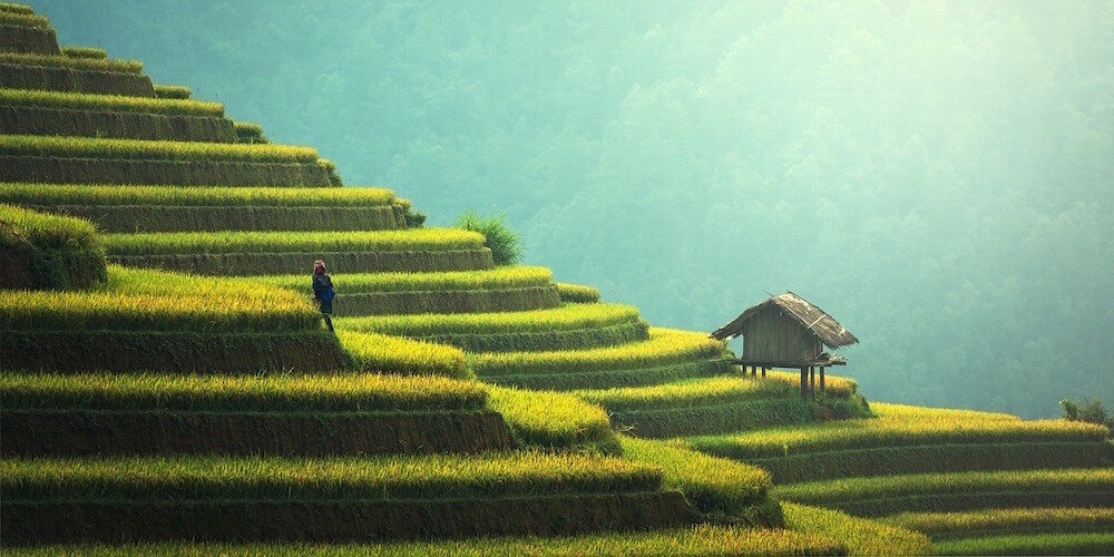 Study Abroad Scholarships & Grants to Apply for in 2023 | Go Overseas